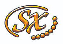 SX Guitars