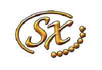SX Guitars