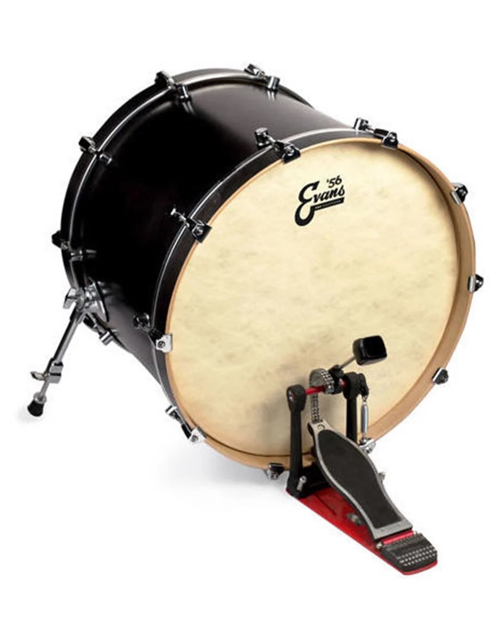 Evans Head Calftone Bass Batter 20" - B-Stock