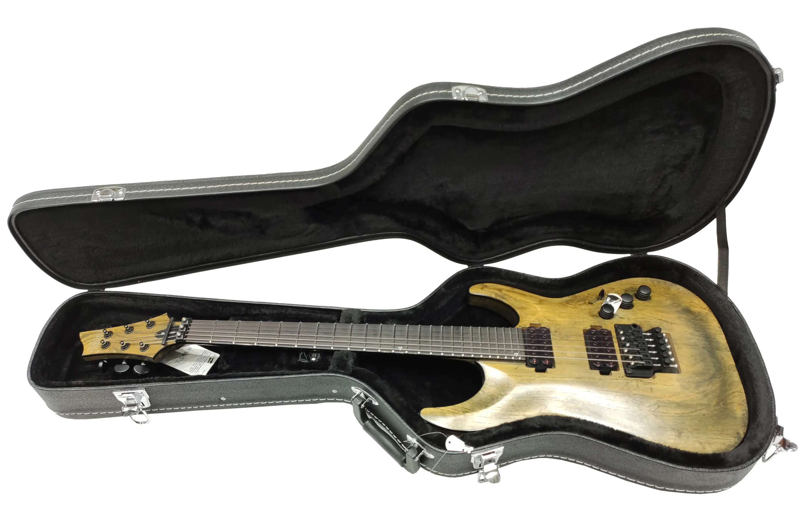 Carlos Hardcase - Electric Guitar