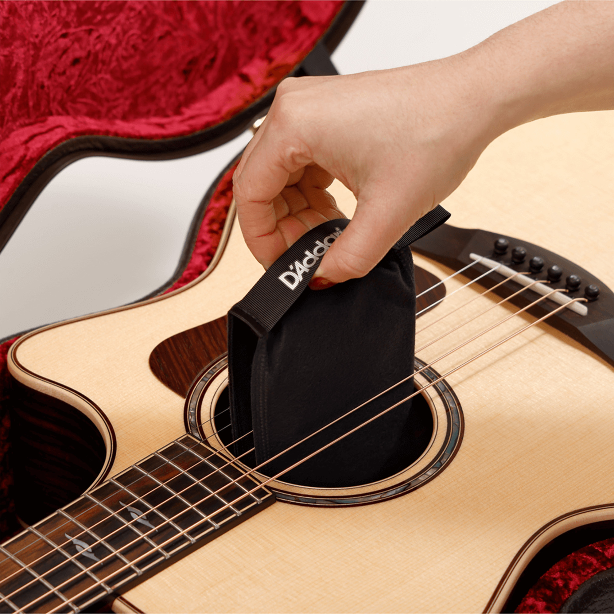 D'Addario PW-HPK-01 Planet Waves Two-Way Humidification System
