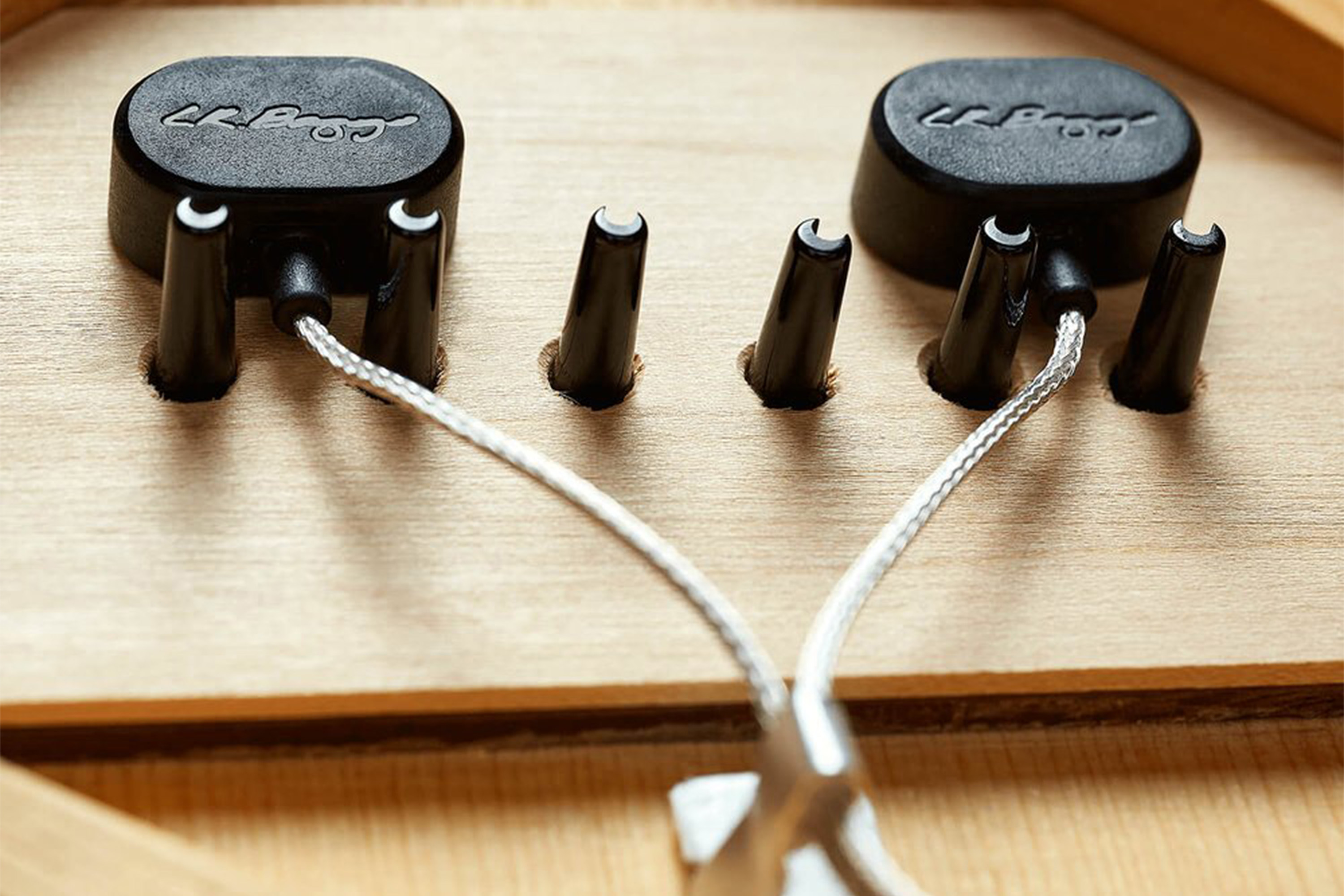 LR Baggs HiFi System with Volume and Tone Control