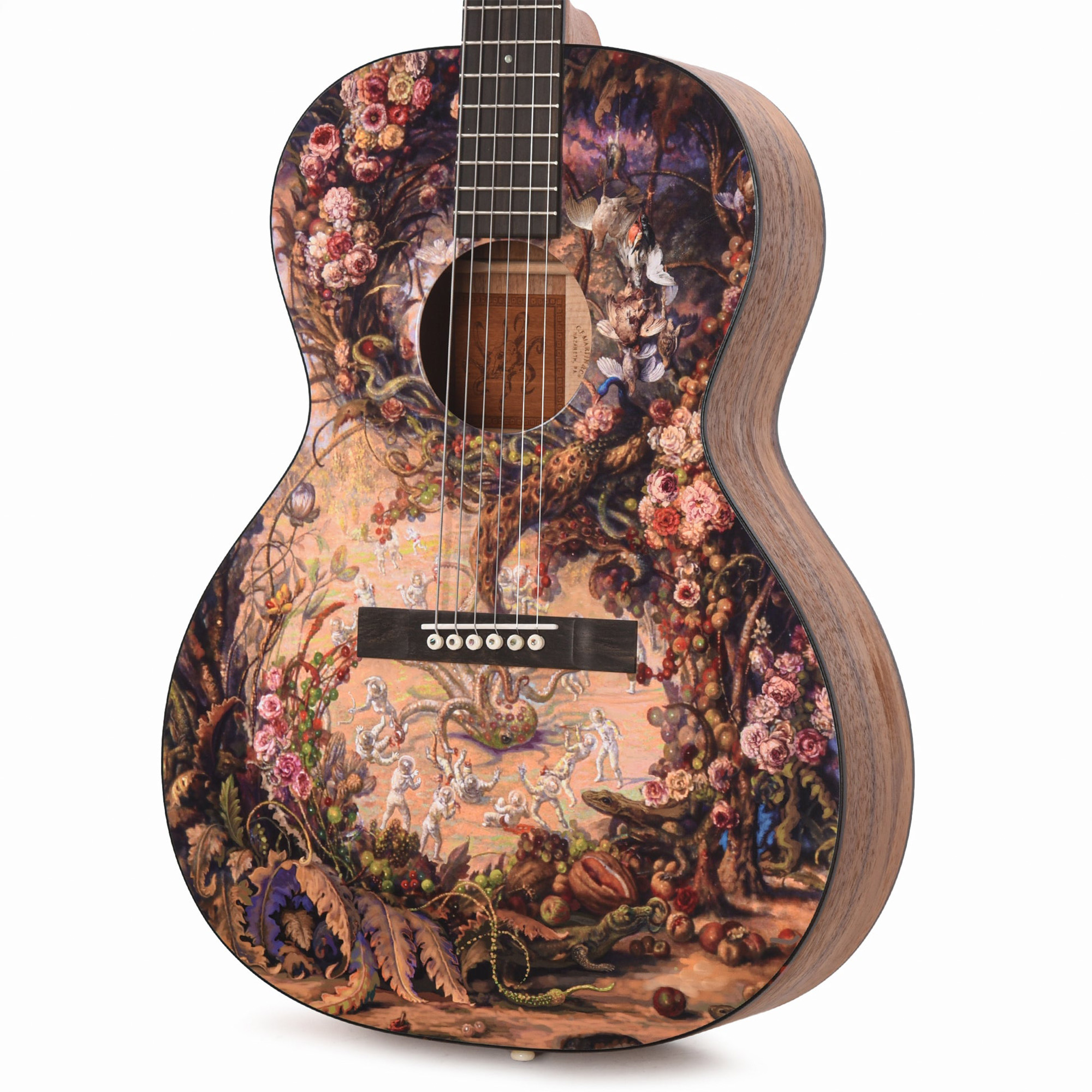 Martin Oliver Acoustic Guitar - Julie Heffernan's "Self-Portrait as Arms and the Men"