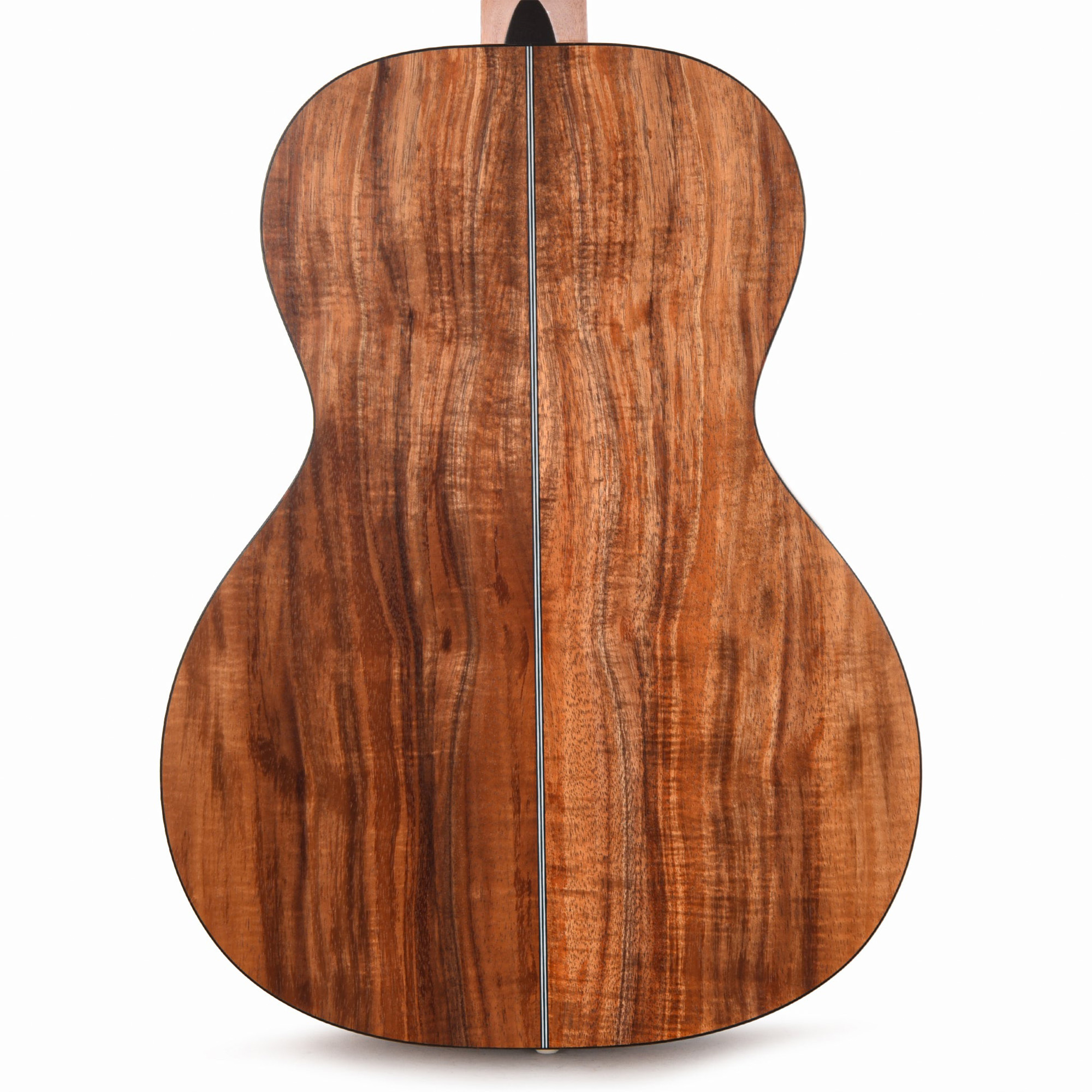 Martin Oliver Acoustic Guitar - Julie Heffernan's "Self-Portrait as Arms and the Men"