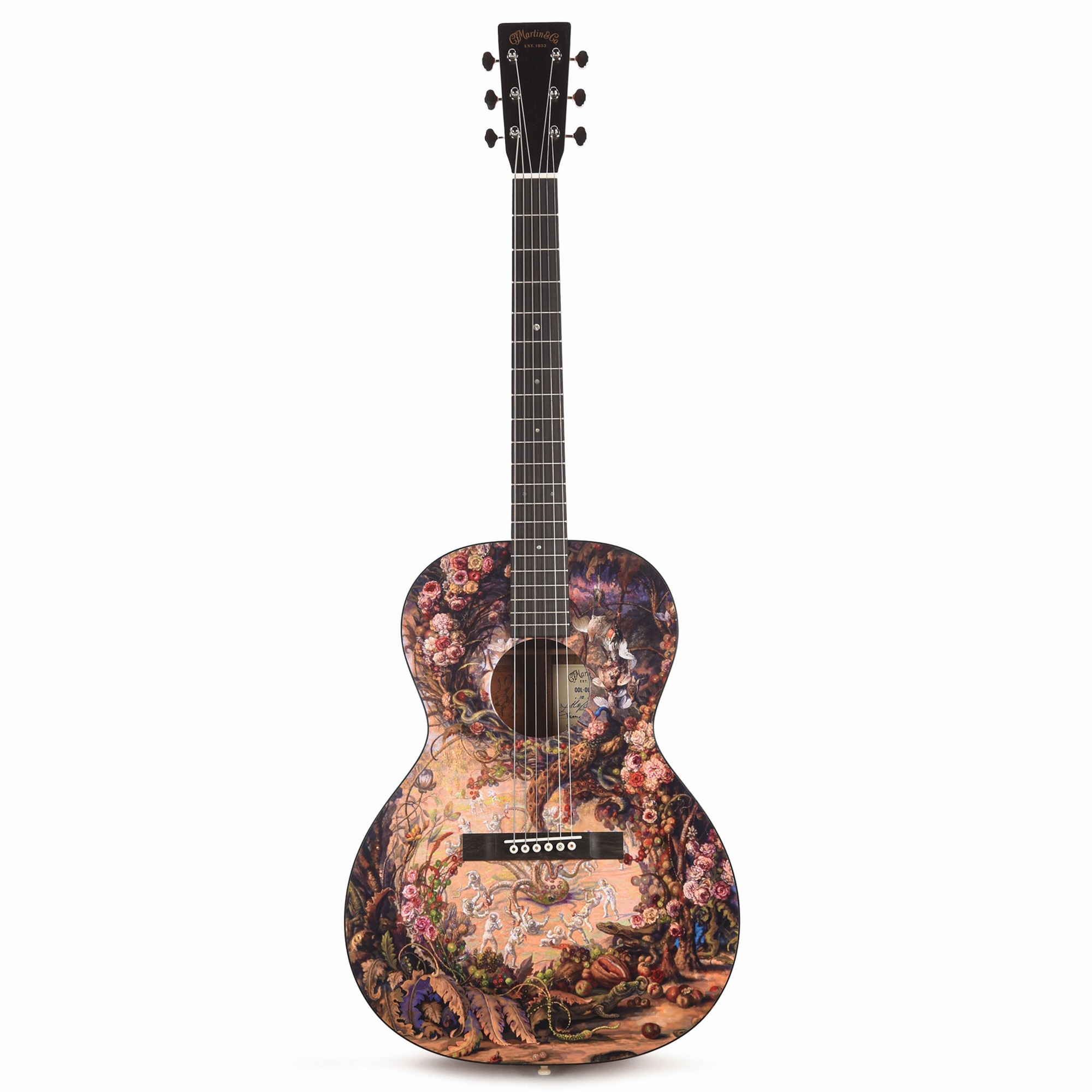 Martin Oliver Acoustic Guitar - Julie Heffernan's "Self-Portrait as Arms and the Men"