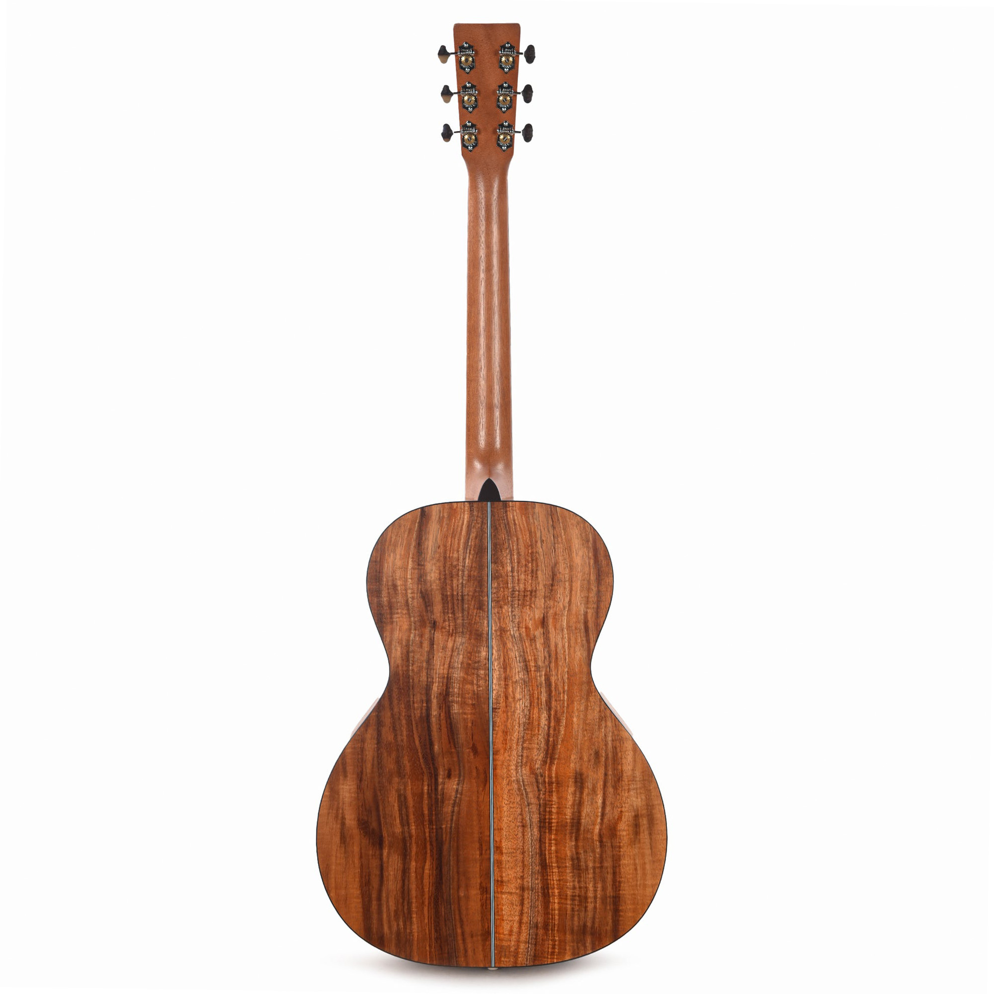 Martin Oliver Acoustic Guitar - Julie Heffernan's "Self-Portrait as Arms and the Men"