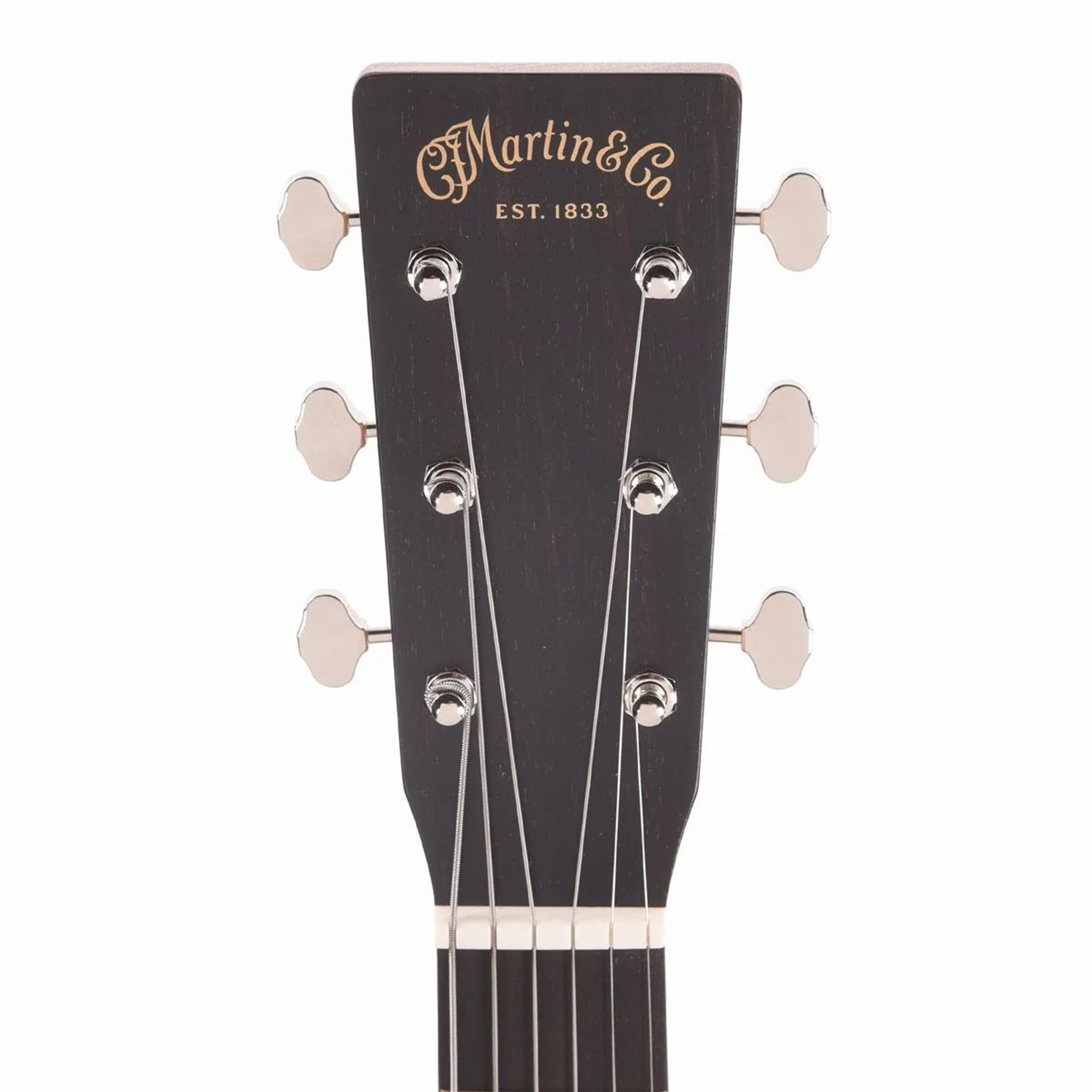 Martin Oliver Acoustic Guitar - Julie Heffernan's "Self-Portrait as Arms and the Men"