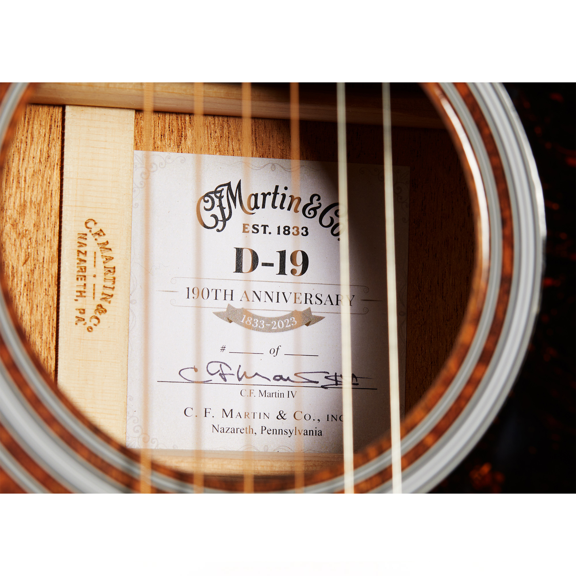 Martin 190th Anniversary D-19 Acoustic Guitar - Dark Mahogany