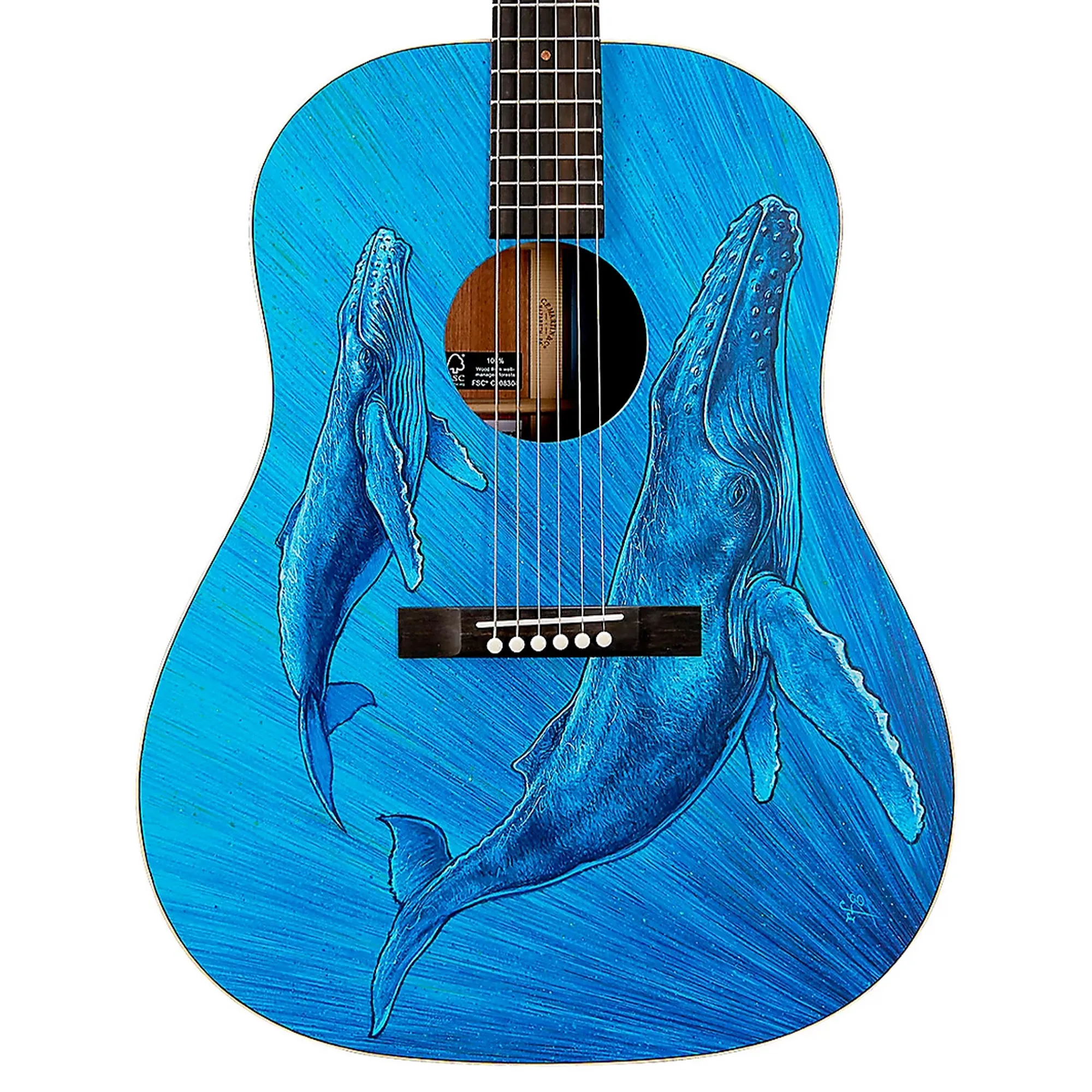 Martin Biosphere Dreadnought Acoustic Guitar - Printed Top with Whale Theme (PRE ORDER)