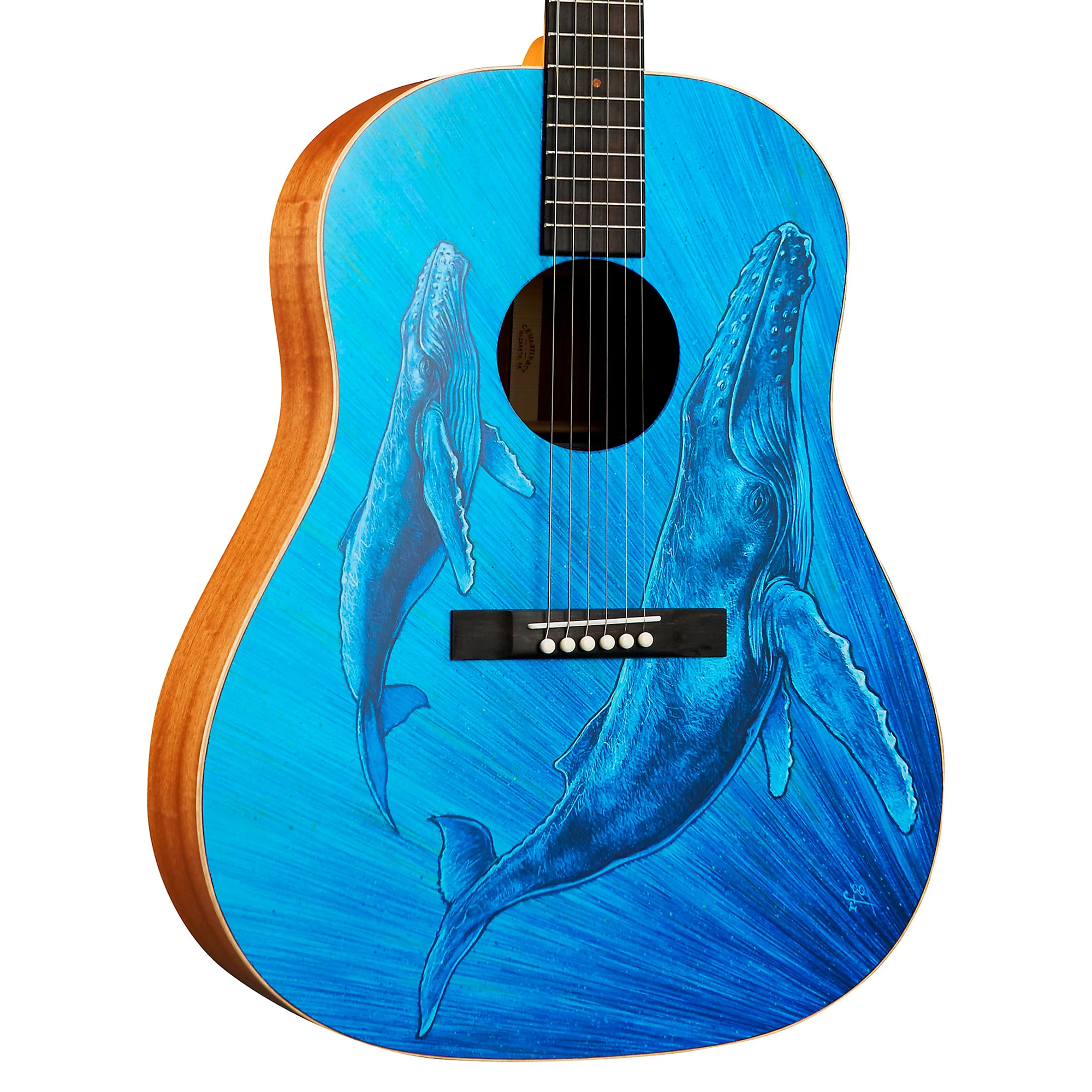 Martin Biosphere Dreadnought Acoustic Guitar - Printed Top with Whale Theme (PRE ORDER)