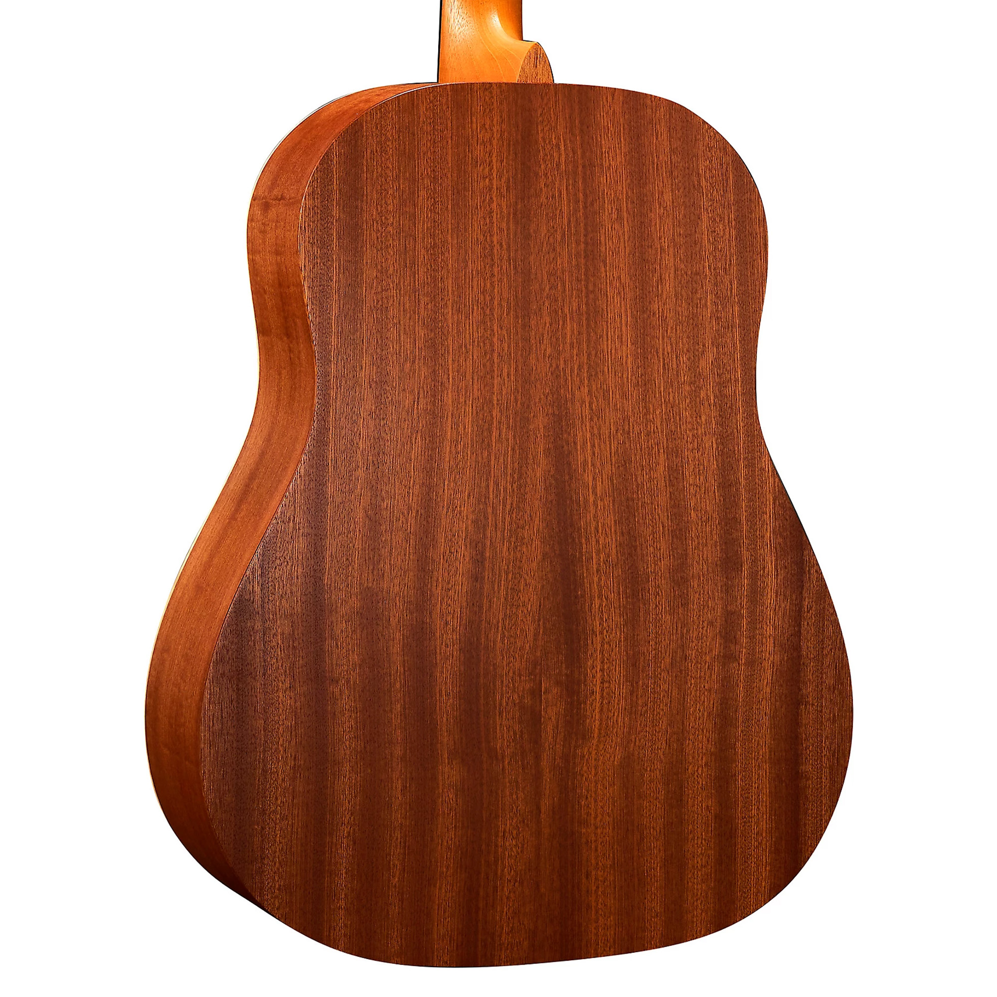 Martin Biosphere Dreadnought Acoustic Guitar - Printed Top with Whale Theme (PRE ORDER)