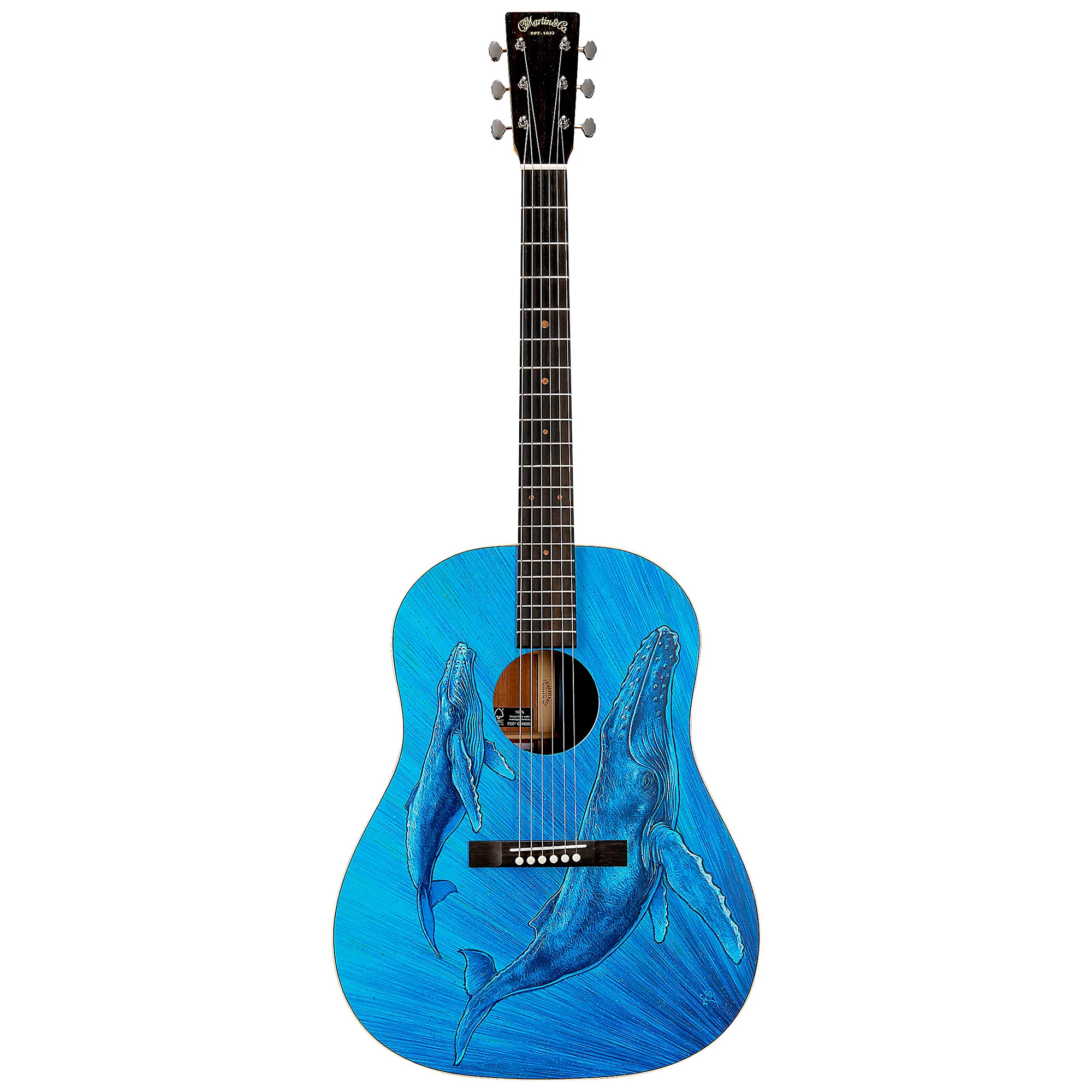 Martin Biosphere Dreadnought Acoustic Guitar - Printed Top with Whale Theme (PRE ORDER)