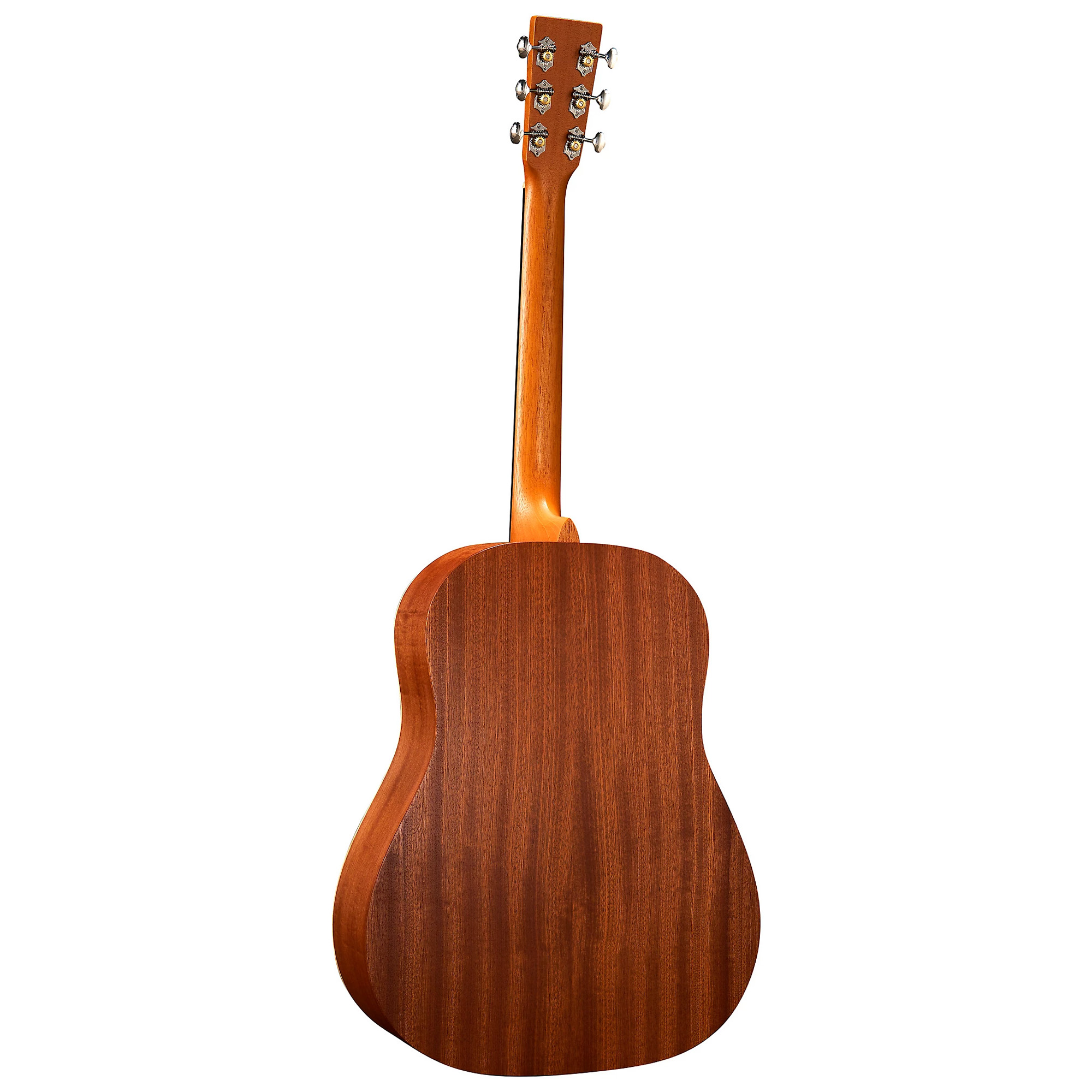 Martin Biosphere Dreadnought Acoustic Guitar - Printed Top with Whale Theme (PRE ORDER)