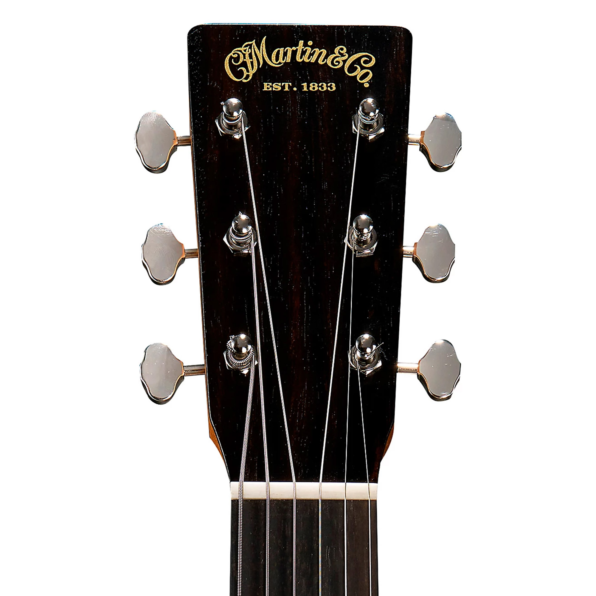 Martin Biosphere Dreadnought Acoustic Guitar - Printed Top with Whale Theme (PRE ORDER)