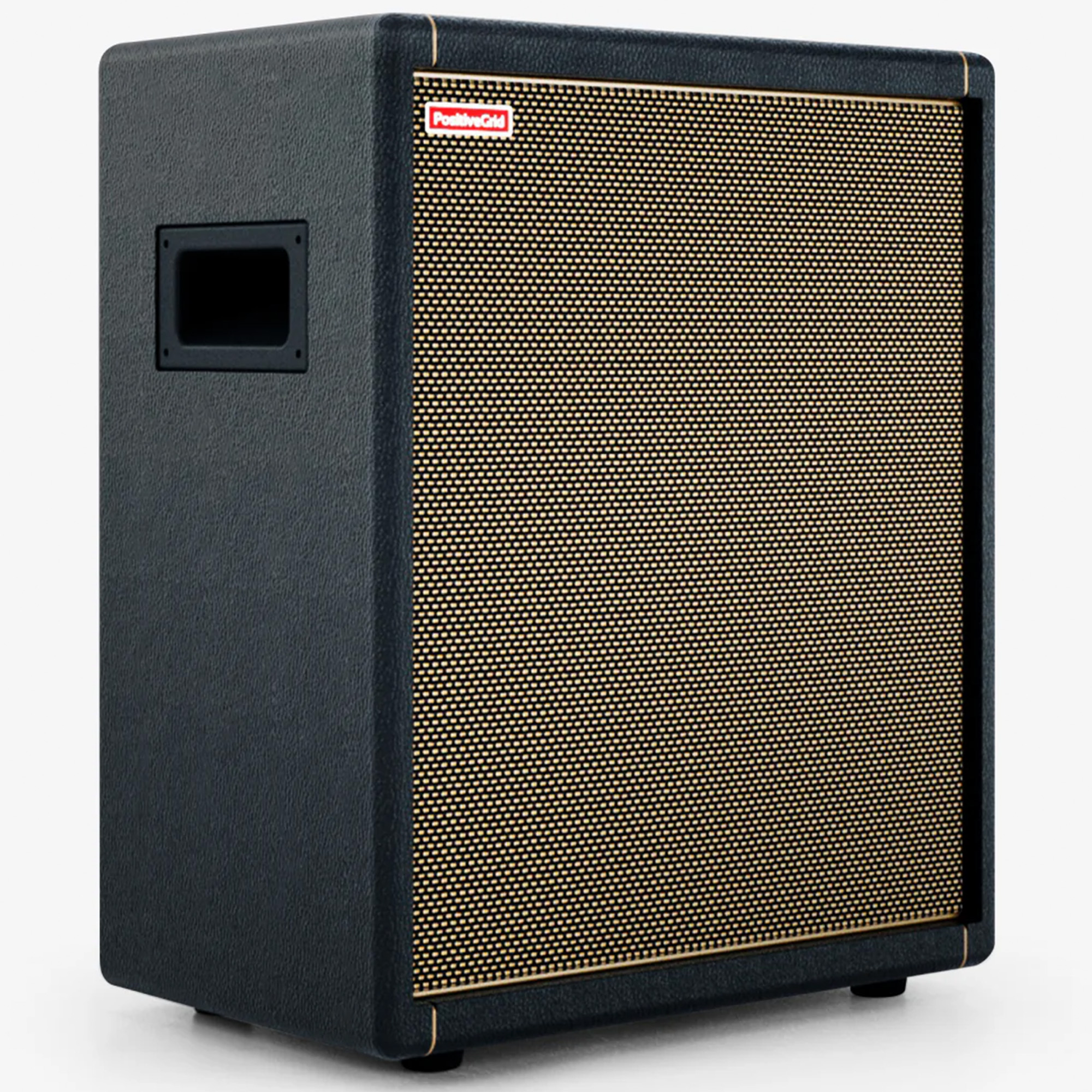 Positive Grid Spark Cab Powered Speaker Cabinet 140 Watt - Black