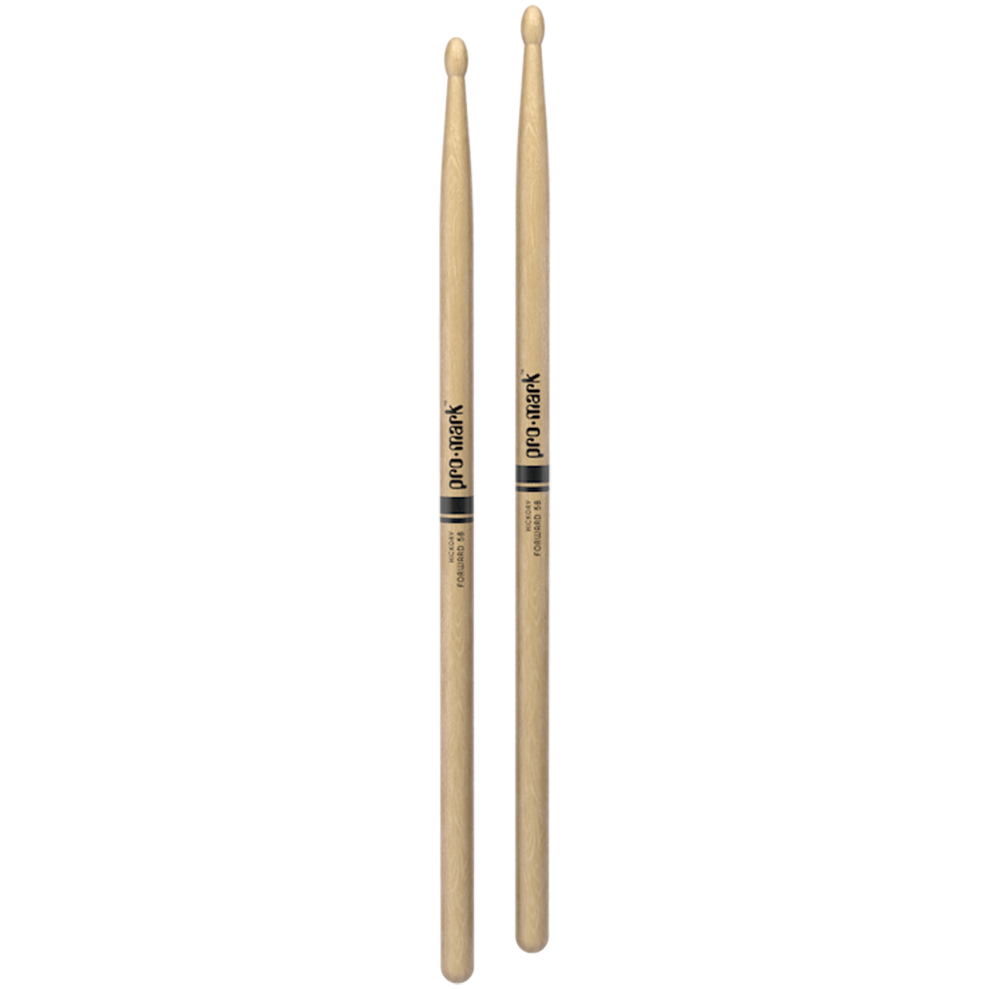ProMark Drumsticks TX5BW Hickory 5B Wood Tip