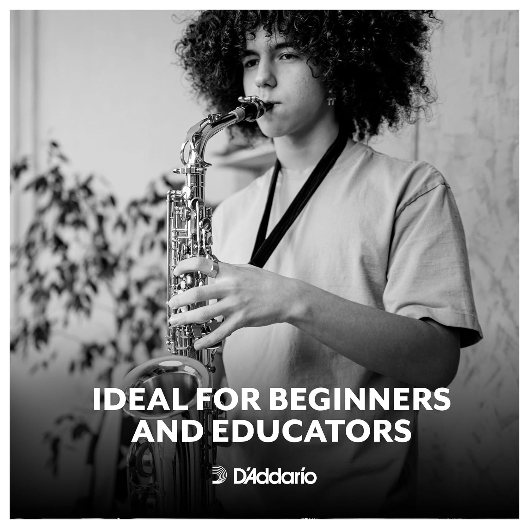 Rico by D'Addario RJA0315 Alto Saxophone Reeds - Strength 1.5 - 3 Pieces