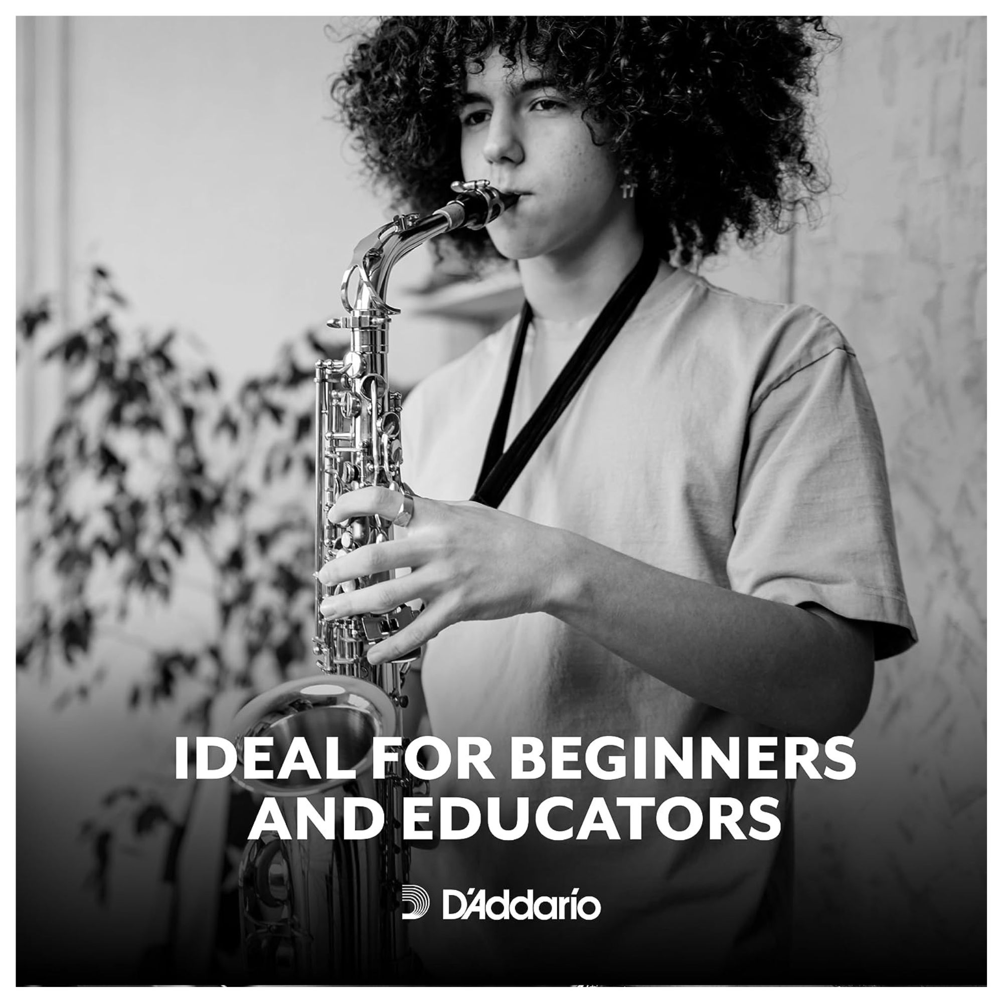 Rico by D'Addario RJA0330 Alto Saxophone Reeds - Strength 3 - 3 Pieces