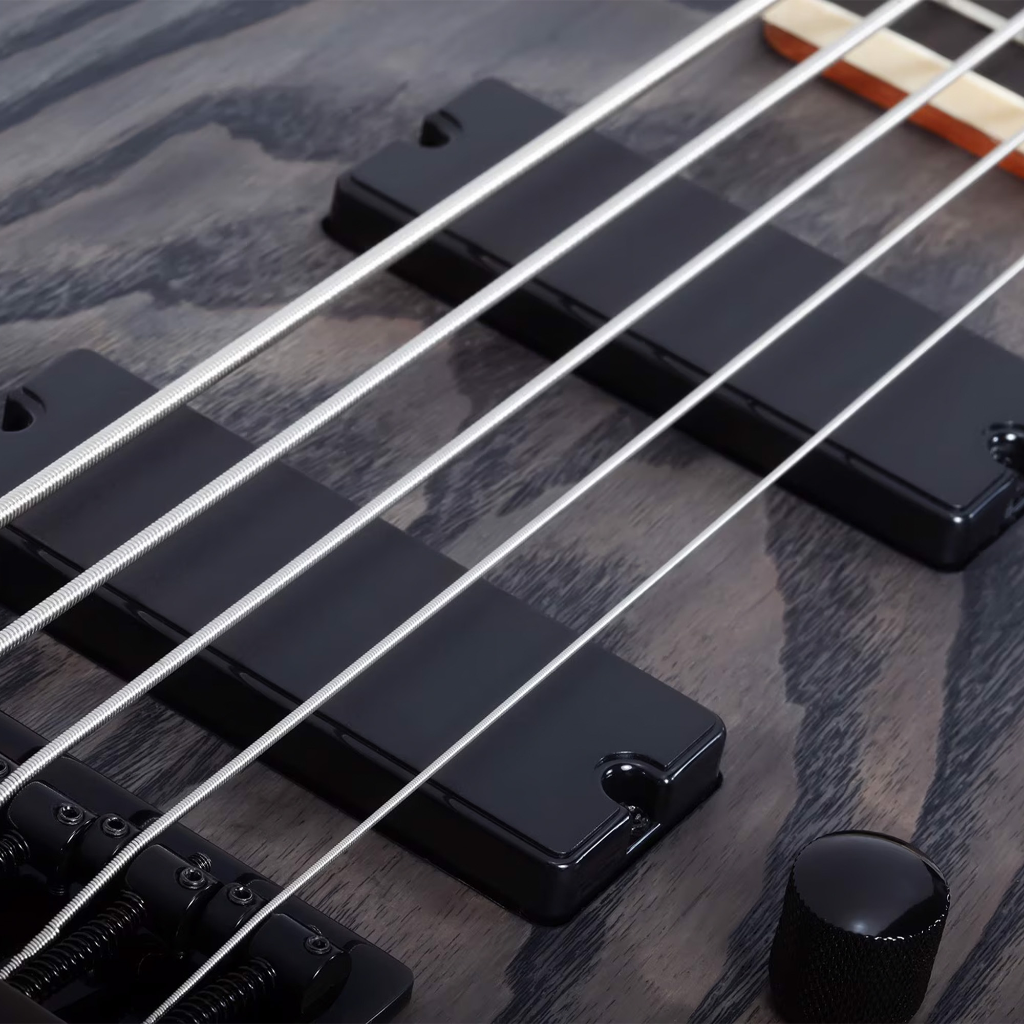Schecter Electric Bass C-5 Standard 5-Strings Guitar - Charcoal Satin