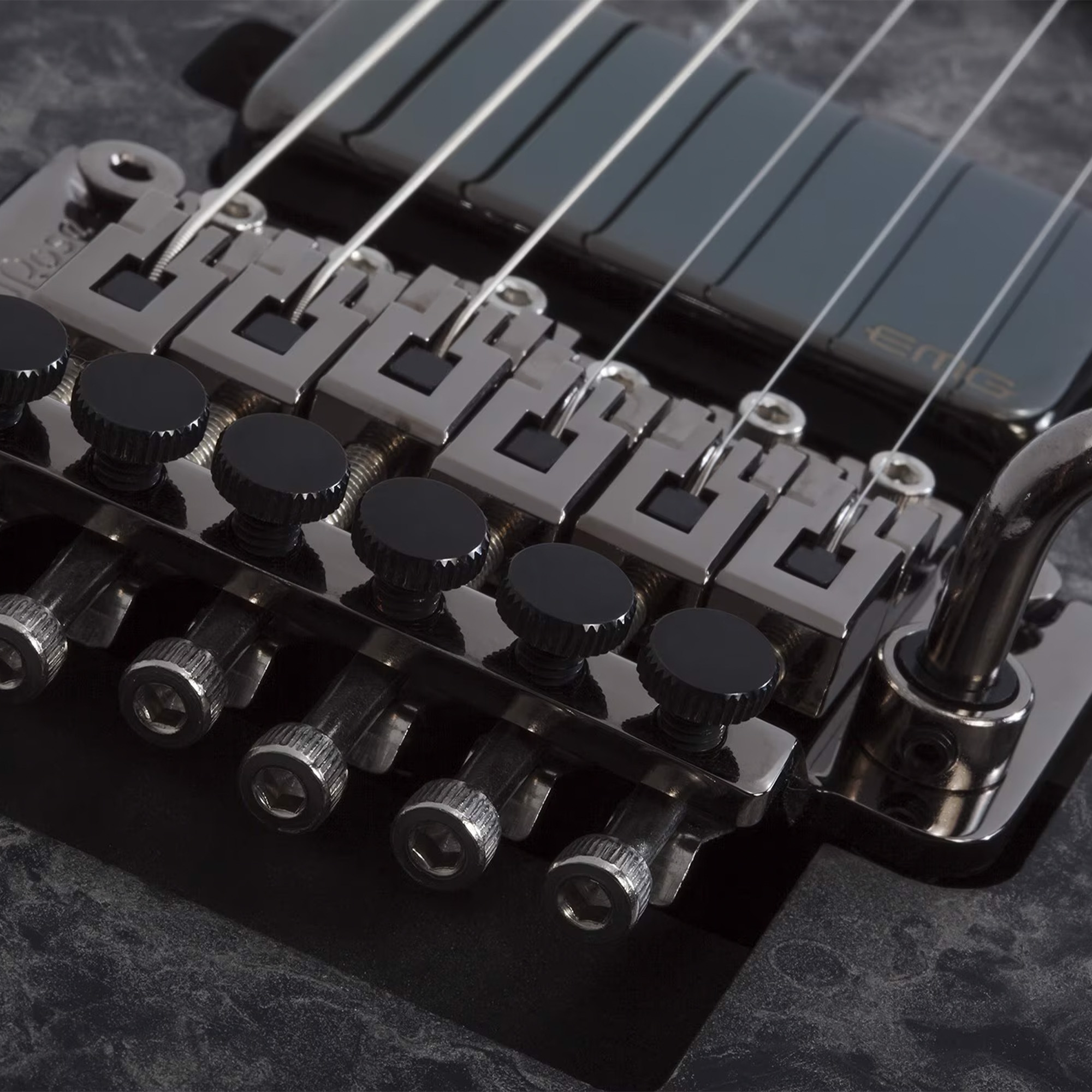 Schecter Electric Guitar Ernie C C-1 - Black Reign