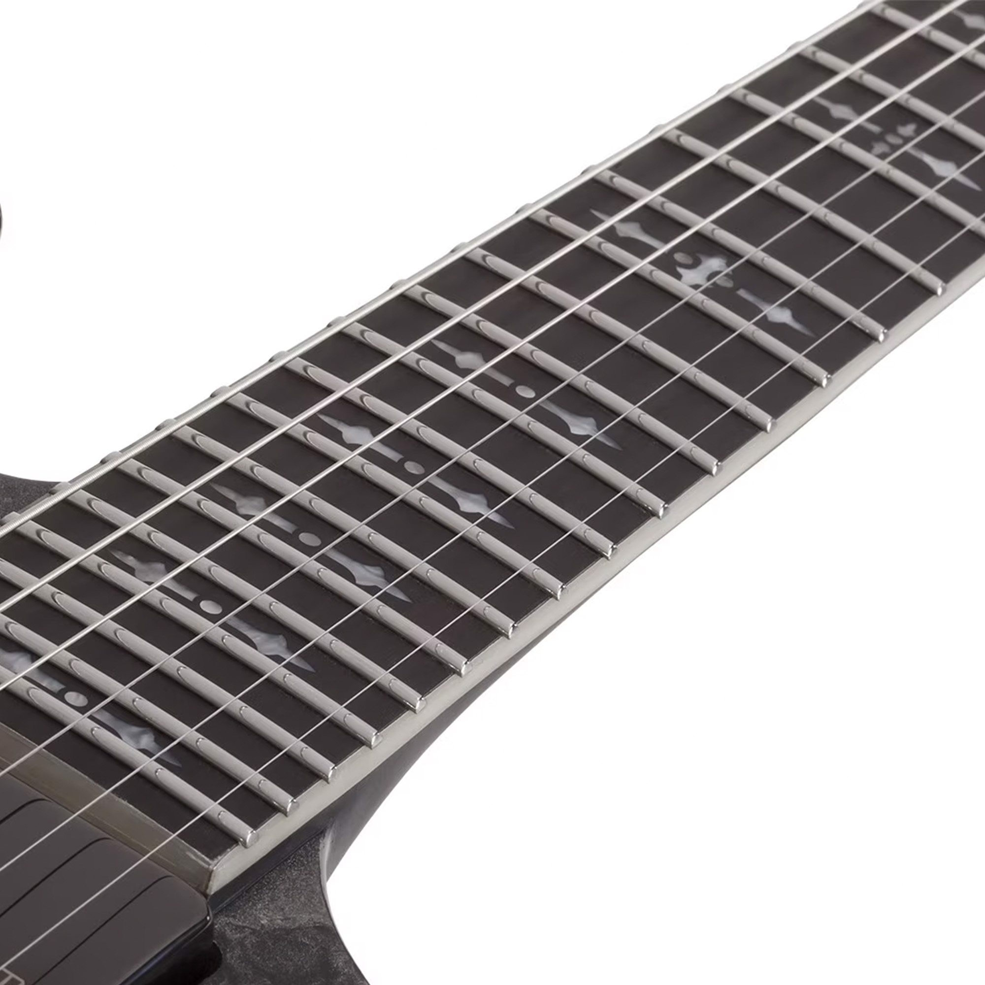 Schecter Electric Guitar Ernie C C-1 - Black Reign