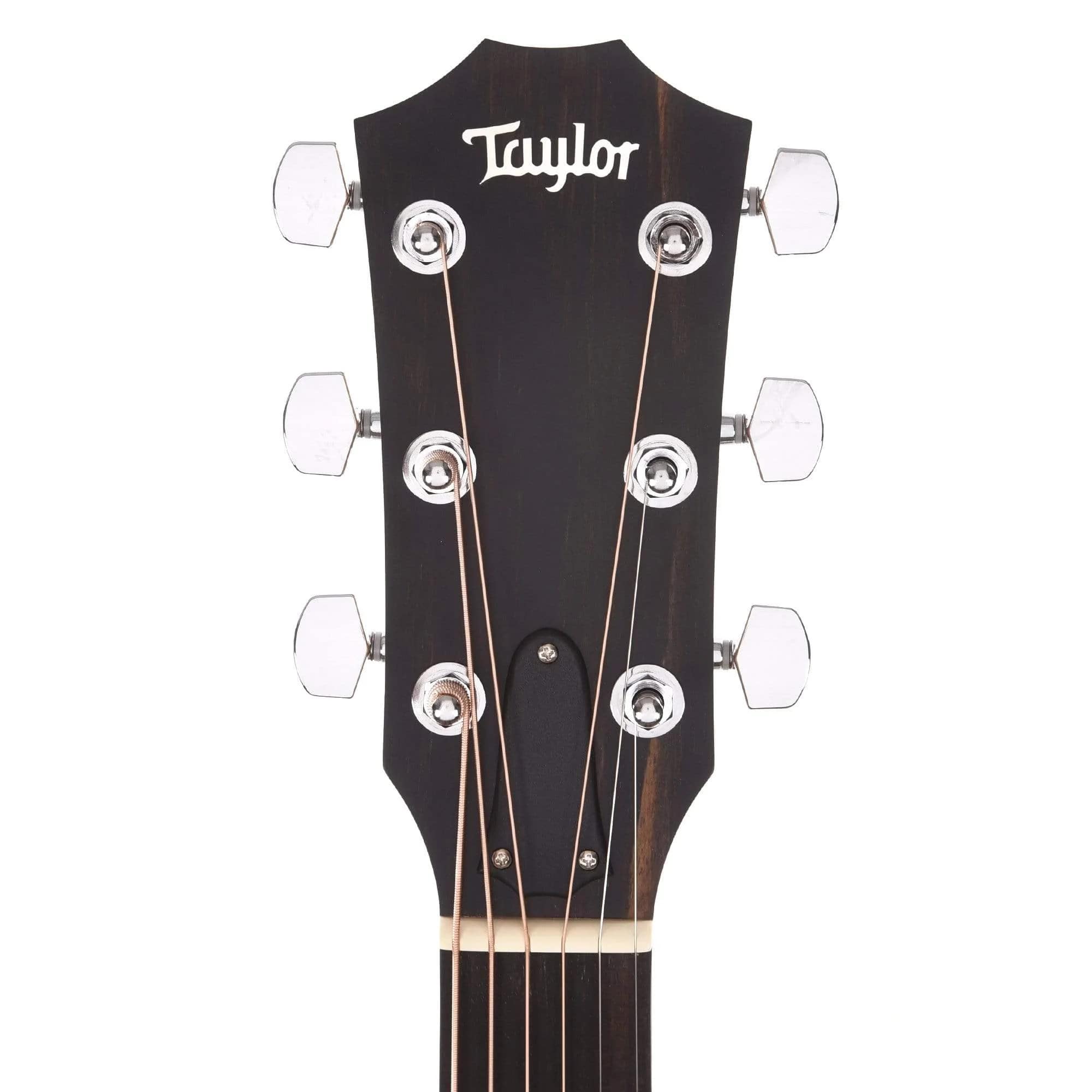 Taylor 210ce Walnut Acoustic Electric Guitar Cutaway  - Natural