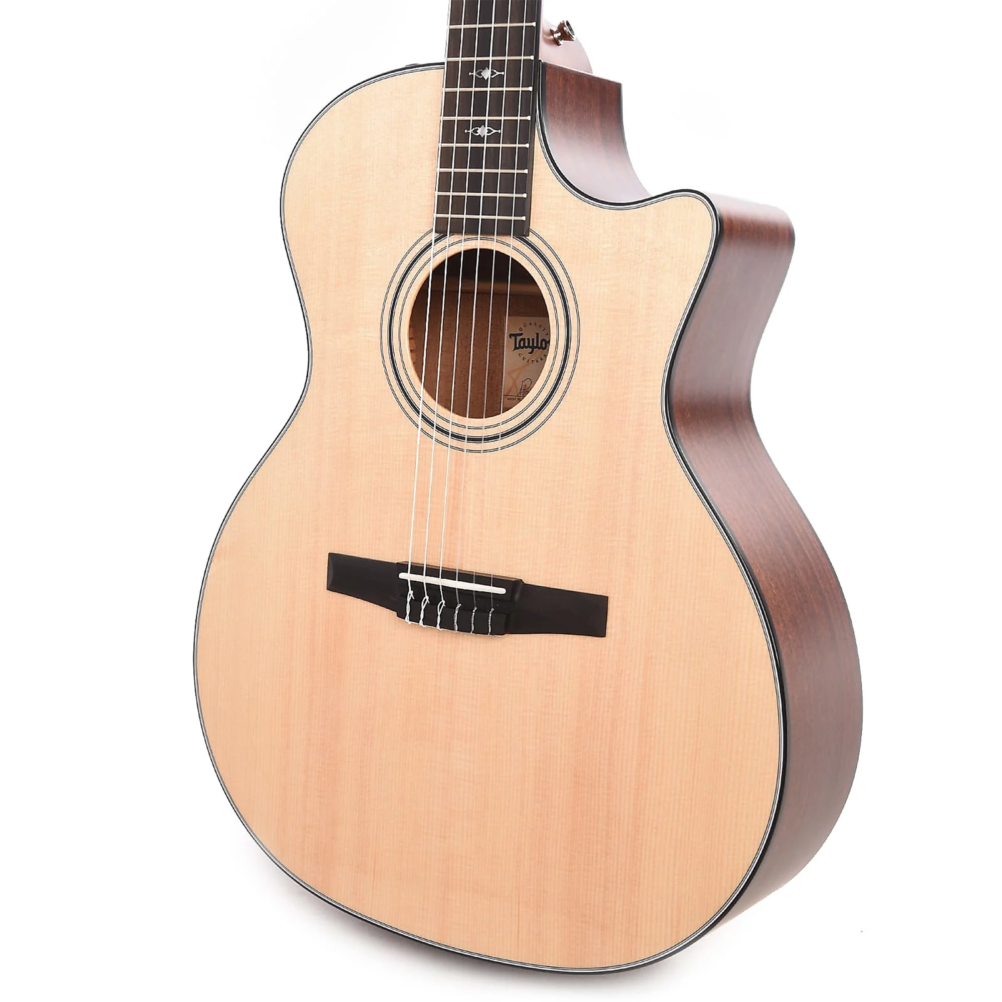 Taylor 314ce Nylon Acoustic Electric Guitar - Natural Sitka Spruce