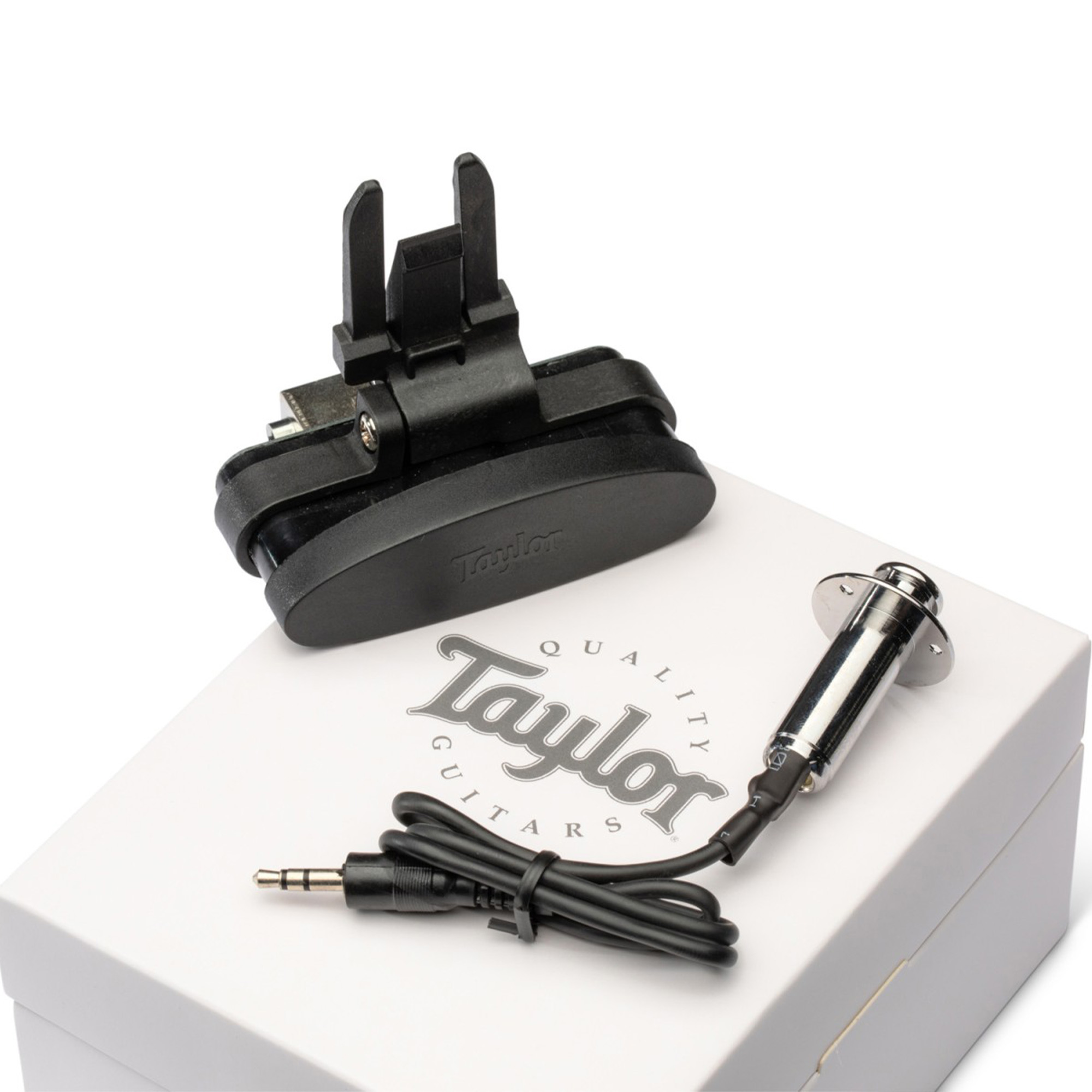 Taylor ES Go - Pickup for GS Mini