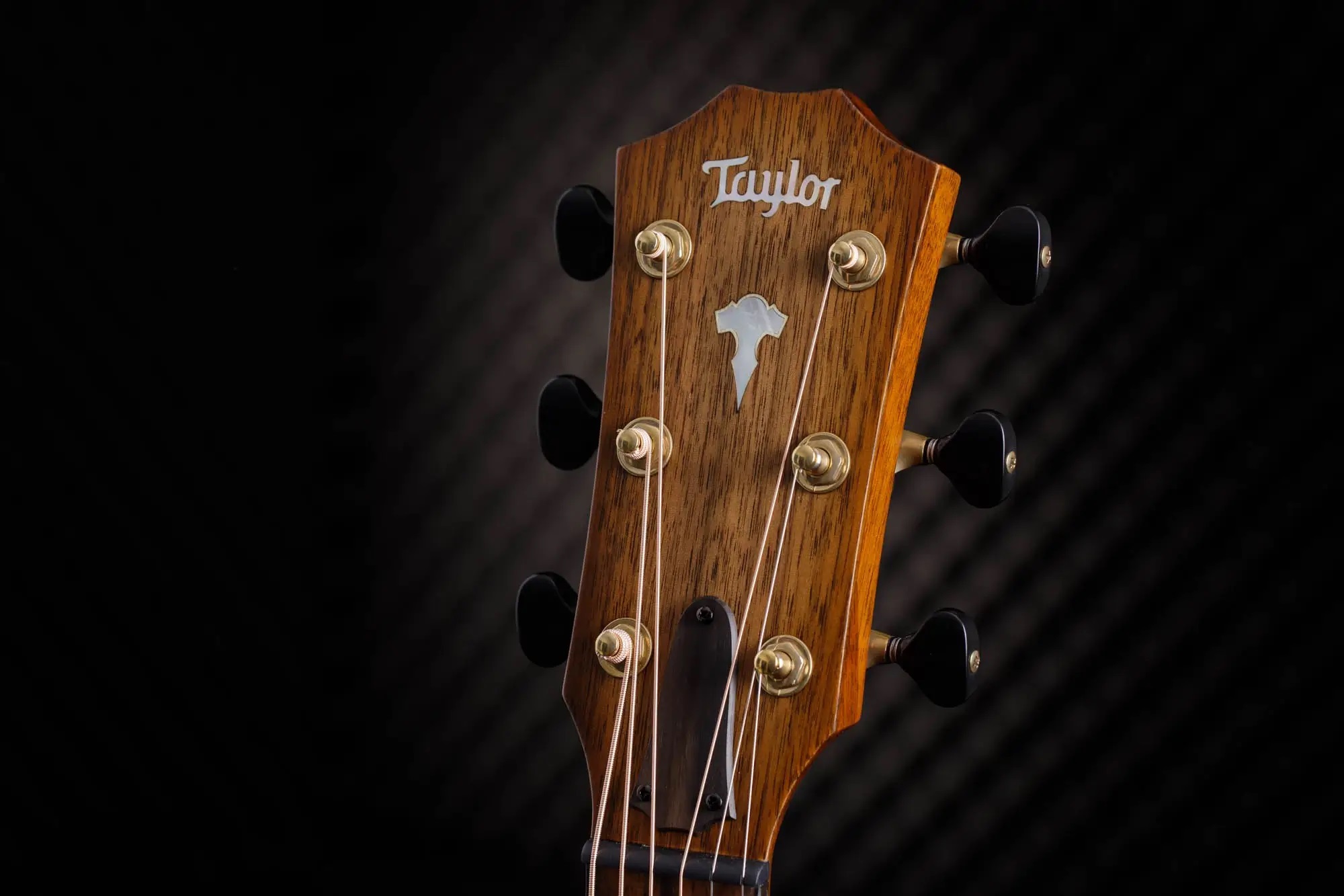 Taylor Custom GO 31Catch Grand Orchestra Acoustic Electric Guitar Limited Edition 20 Guitars Worldwide - Natural Walnut