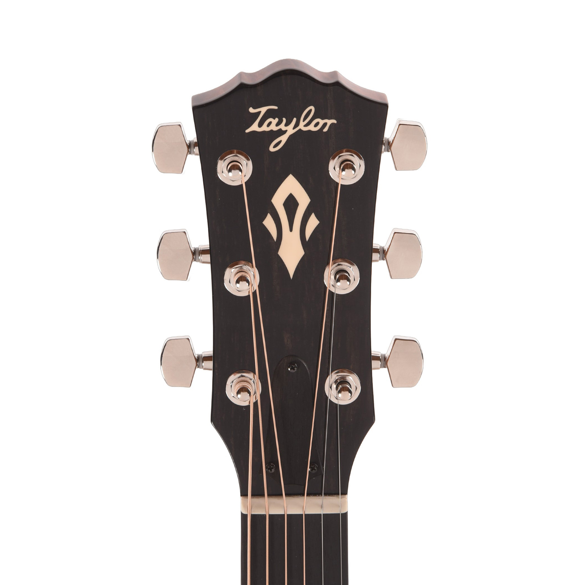 Taylor Gold Label 510e Acoustic Electric Guitar - Natural