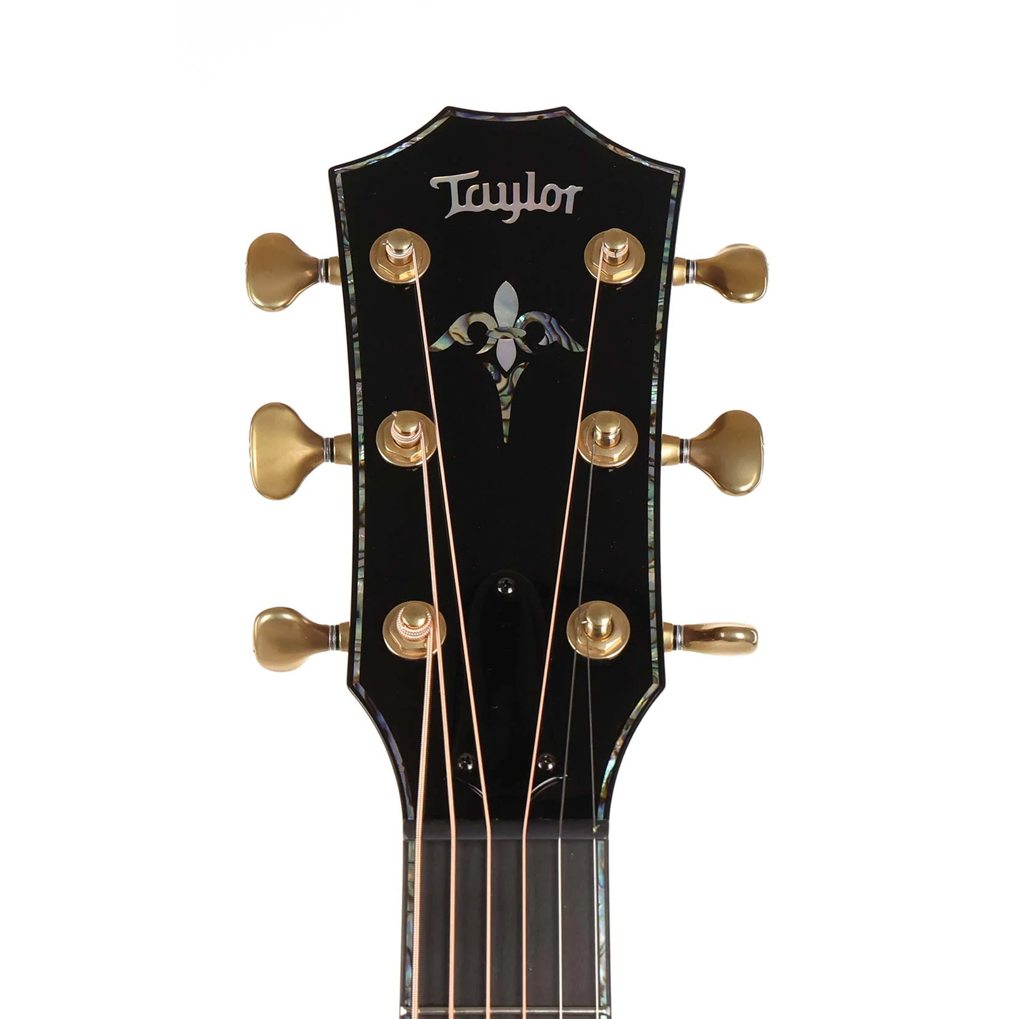 Taylor PS14ce Urban Ironbark Acoustic Electric Guitar - Tobacco