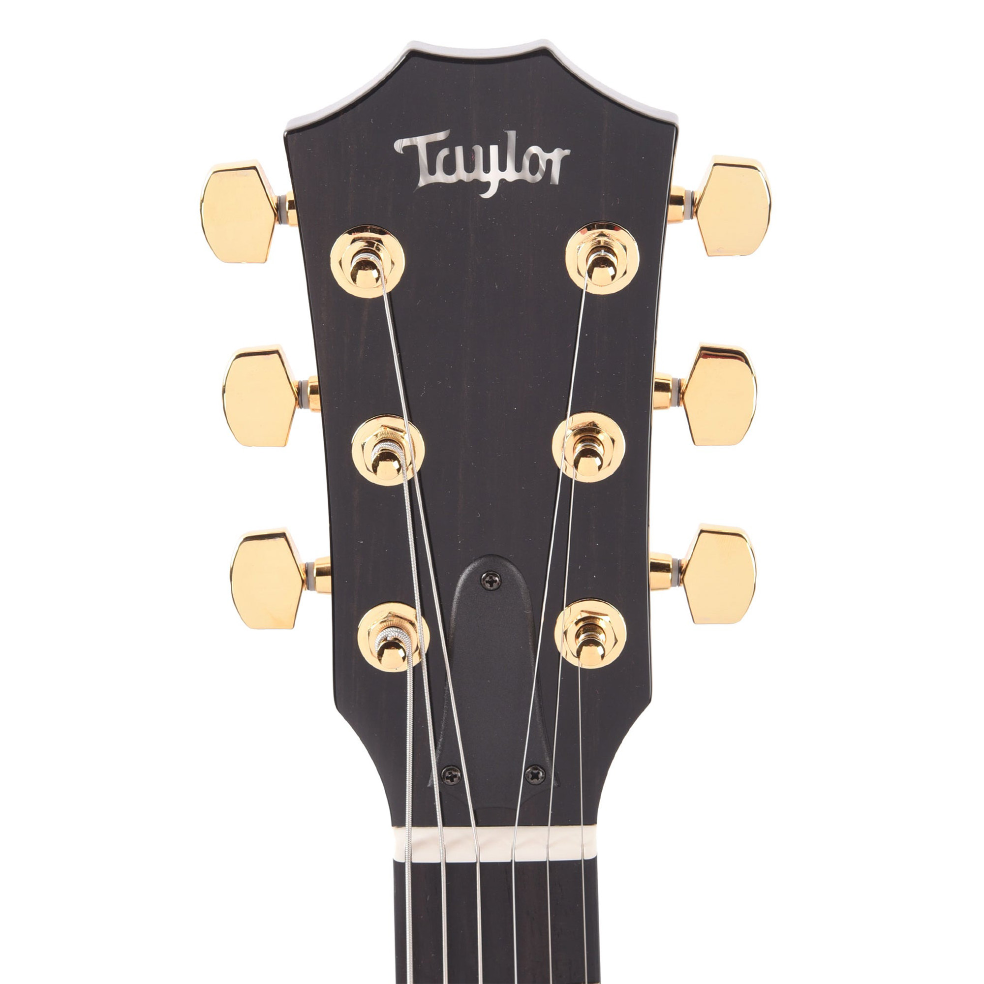 Taylor T5z Custom Acoustic Electric Guitar - Armrest Koa (PRE ORDER)